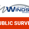 Public Survey